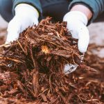 Why Is Yard Waste Recycling Important?
