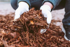 Read more about the article Why Is Yard Waste Recycling Important?