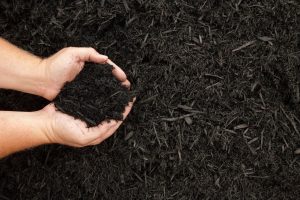 Read more about the article Why Mulch Matters More During Summer