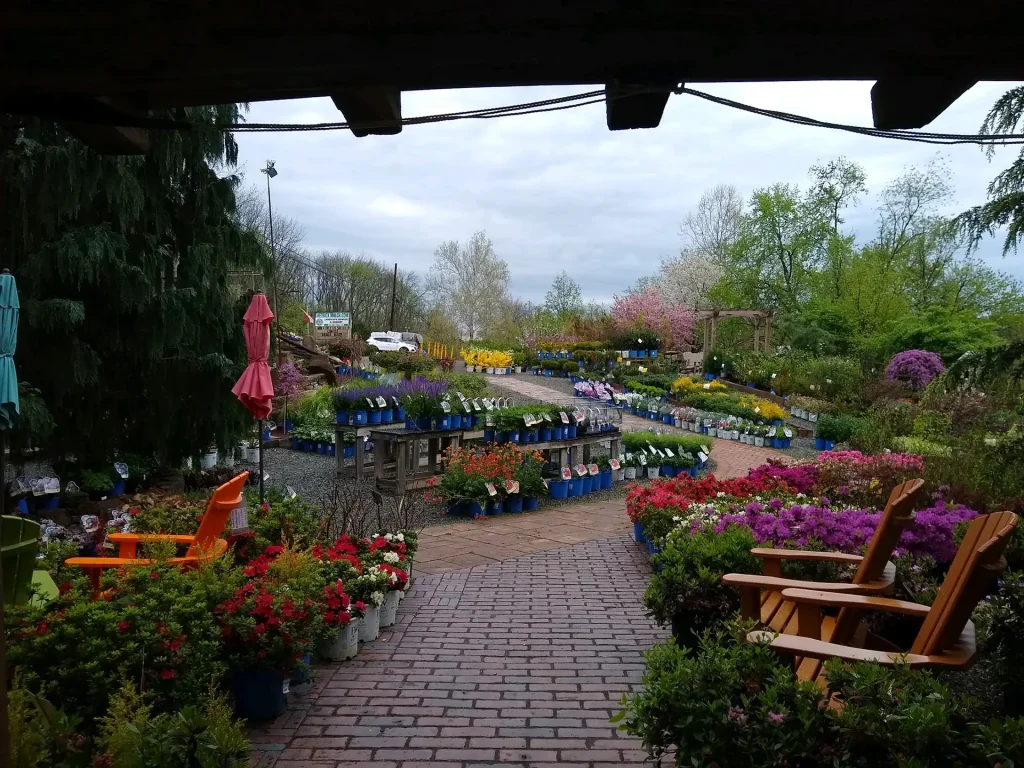 garden center with various colored flowers